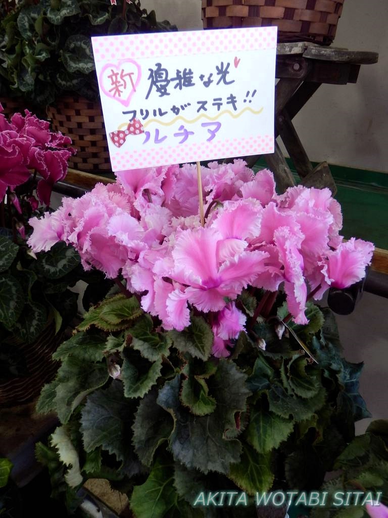 f:id:murabitosonoiti:20181130151817j:plain f:id:murabitosonoiti:20181130151817j:plain