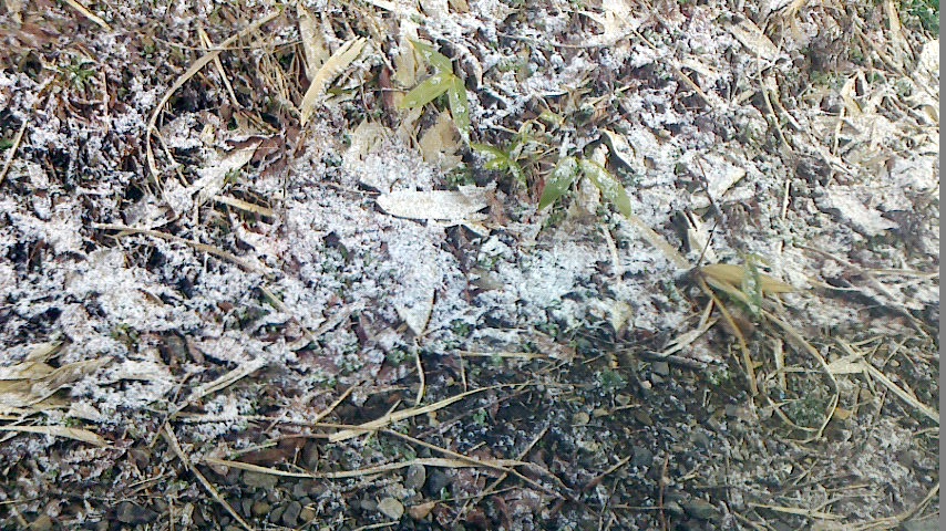 f:id:murabitosonoiti:20190308113730j:plain f:id:murabitosonoiti:20190308113730j:plain