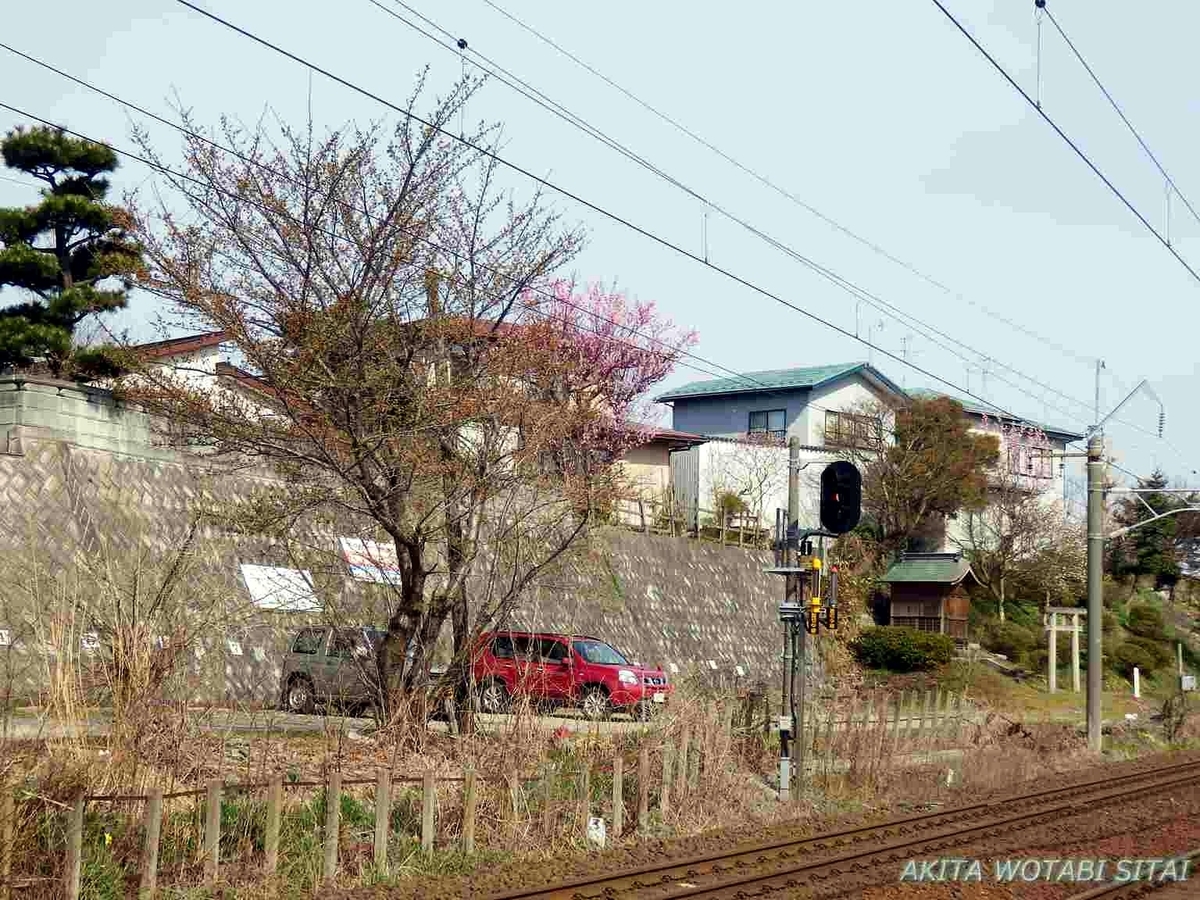 f:id:murabitosonoiti:20190417103523j:plain