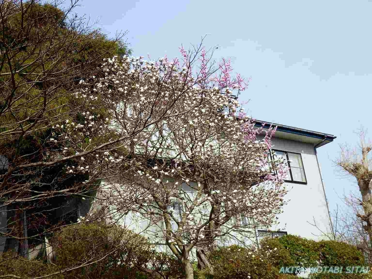 f:id:murabitosonoiti:20190417105637j:plain
