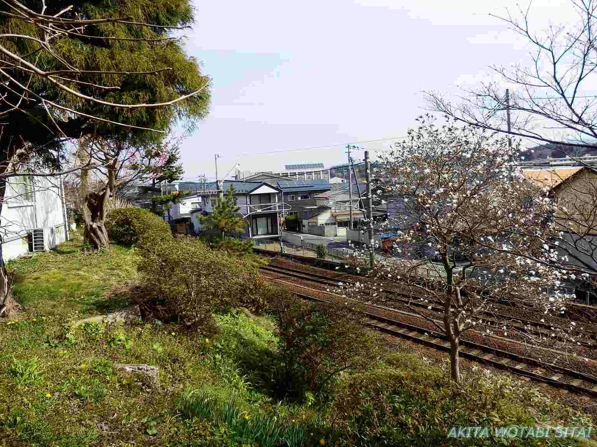 f:id:murabitosonoiti:20190417111639j:plain