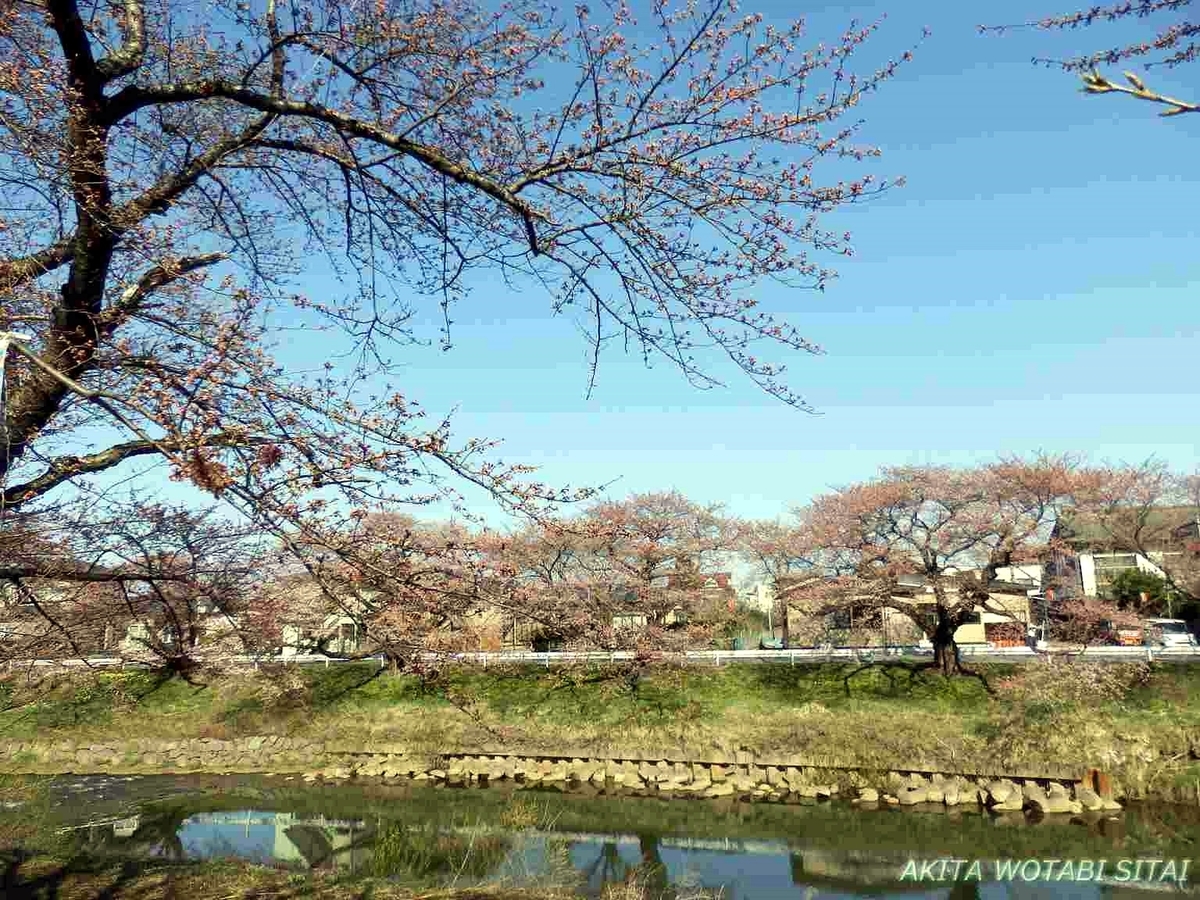 f:id:murabitosonoiti:20190418122038j:plain f:id:murabitosonoiti:20190418122038j:plain