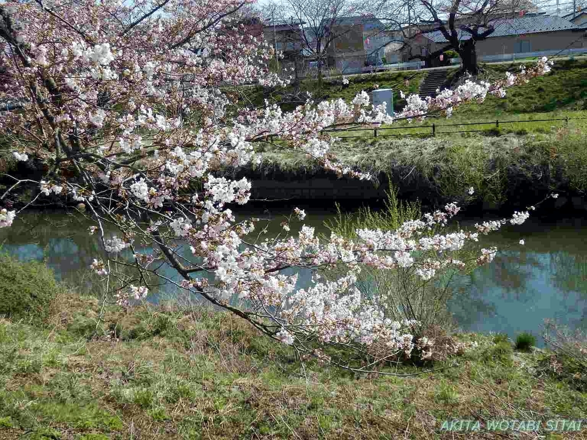 f:id:murabitosonoiti:20190418123535j:plain f:id:murabitosonoiti:20190418123535j:plain