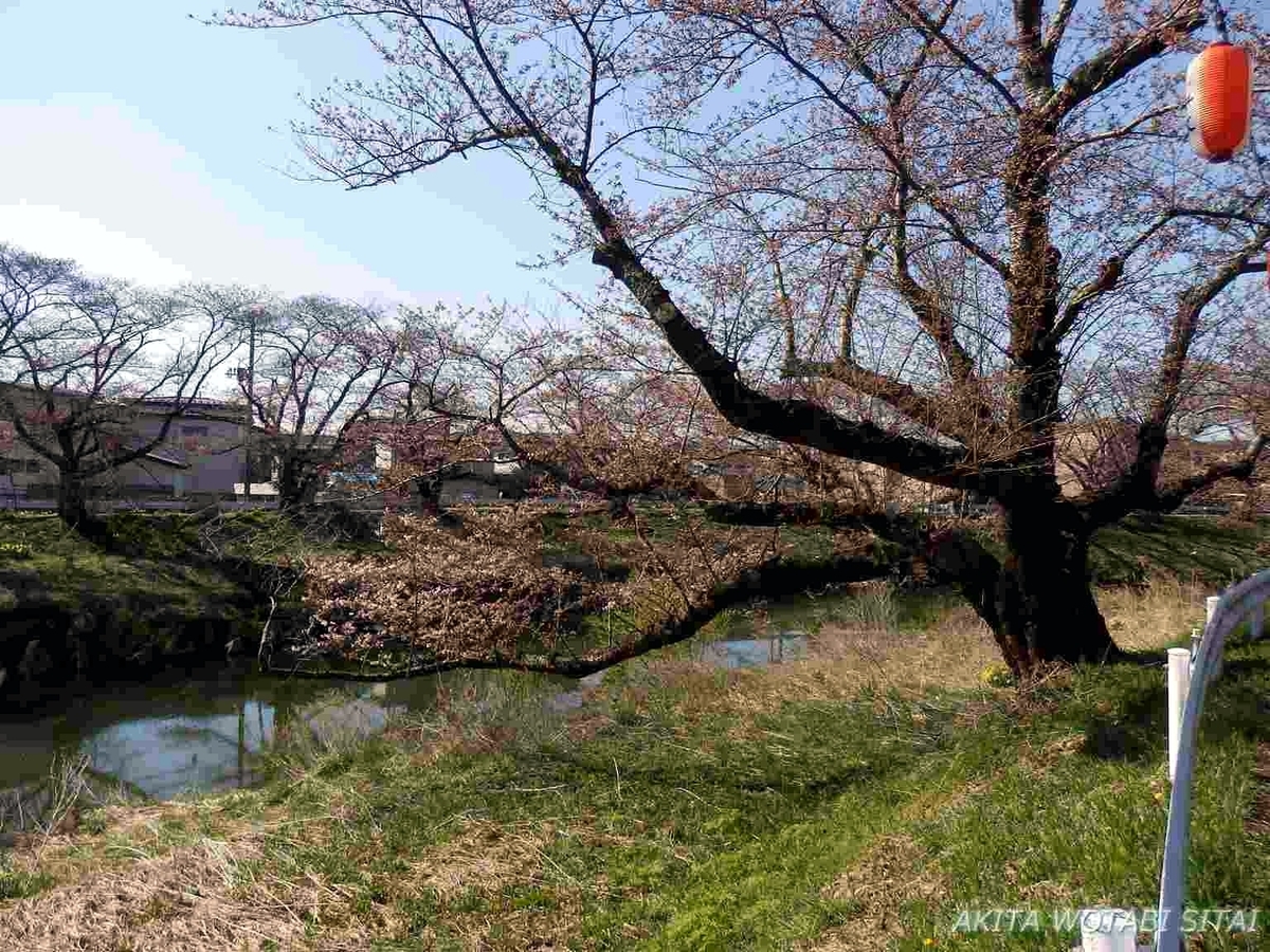 f:id:murabitosonoiti:20190418124549j:plain f:id:murabitosonoiti:20190418124549j:plain