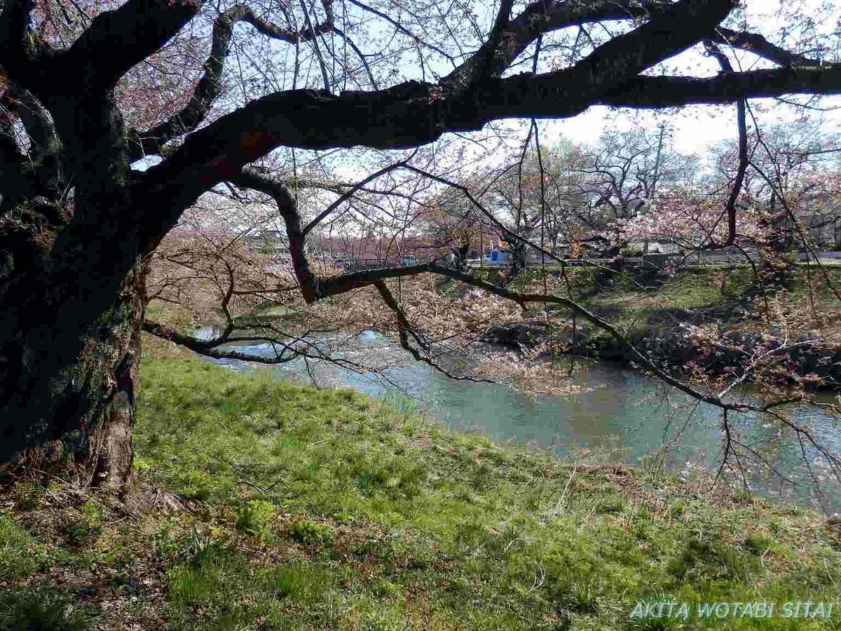 f:id:murabitosonoiti:20190418124715j:plain f:id:murabitosonoiti:20190418124715j:plain