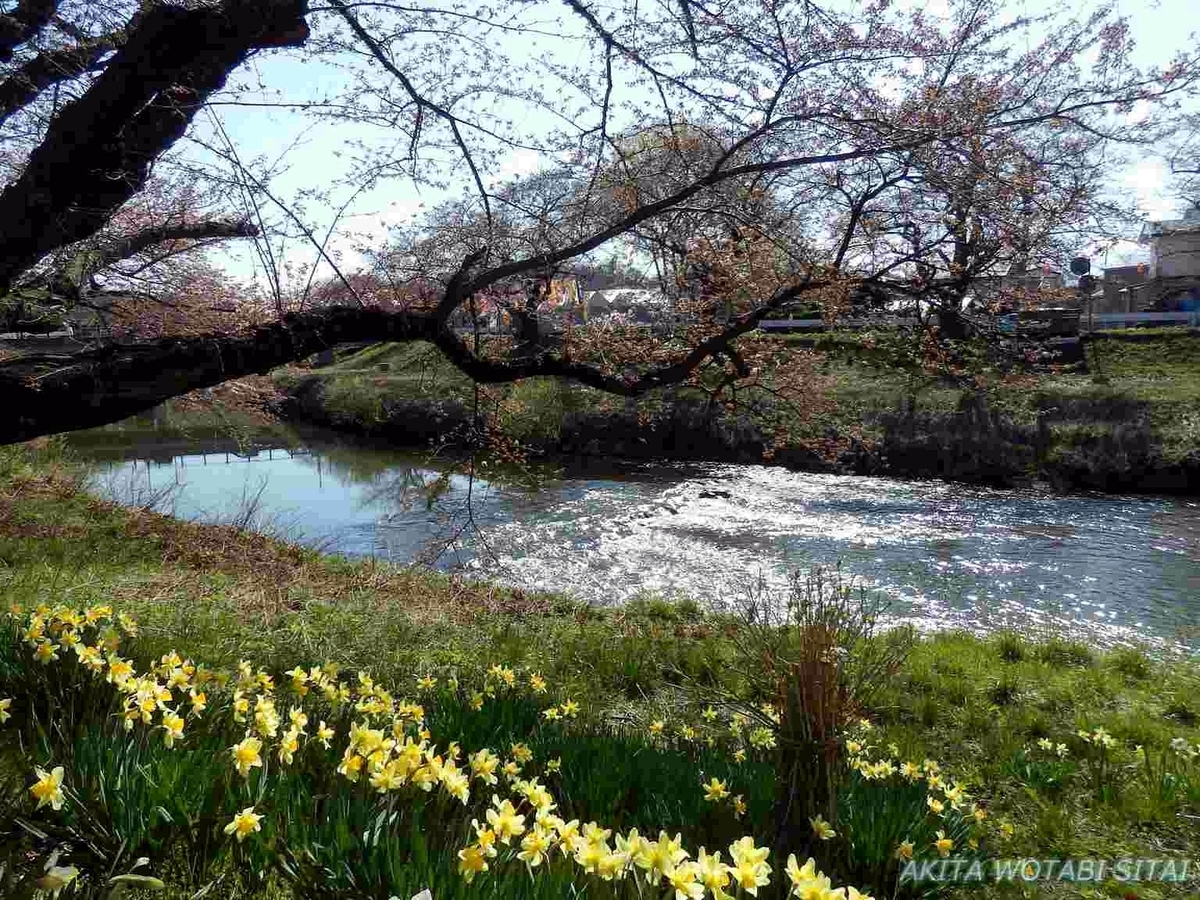 f:id:murabitosonoiti:20190418124926j:plain f:id:murabitosonoiti:20190418124926j:plain