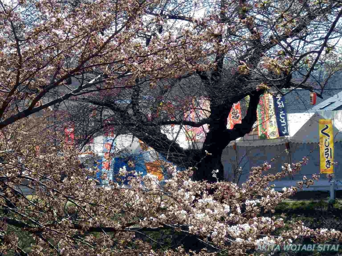 f:id:murabitosonoiti:20190418125103j:plain f:id:murabitosonoiti:20190418125103j:plain