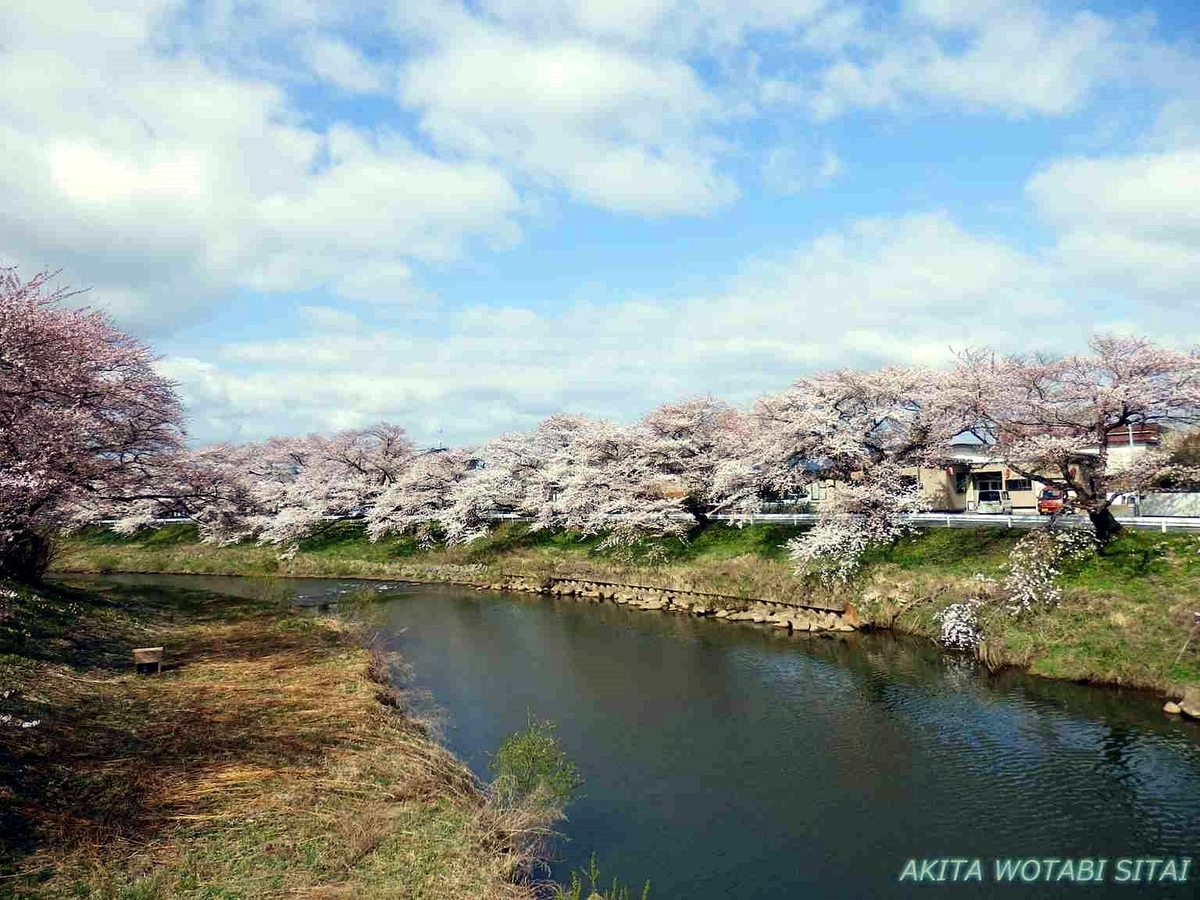f:id:murabitosonoiti:20190420112429j:plain f:id:murabitosonoiti:20190420112429j:plain
