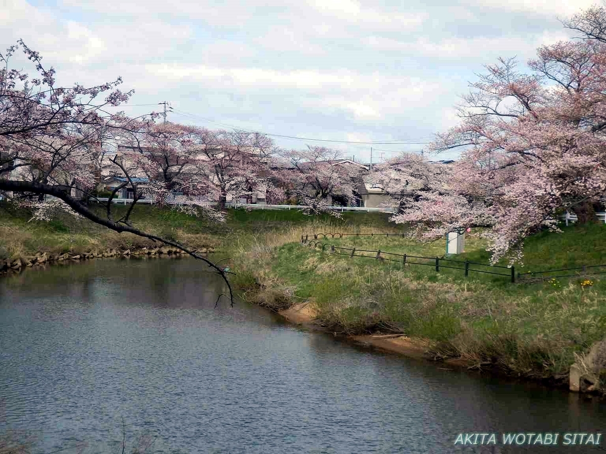 f:id:murabitosonoiti:20190421000724j:plain f:id:murabitosonoiti:20190421000724j:plain
