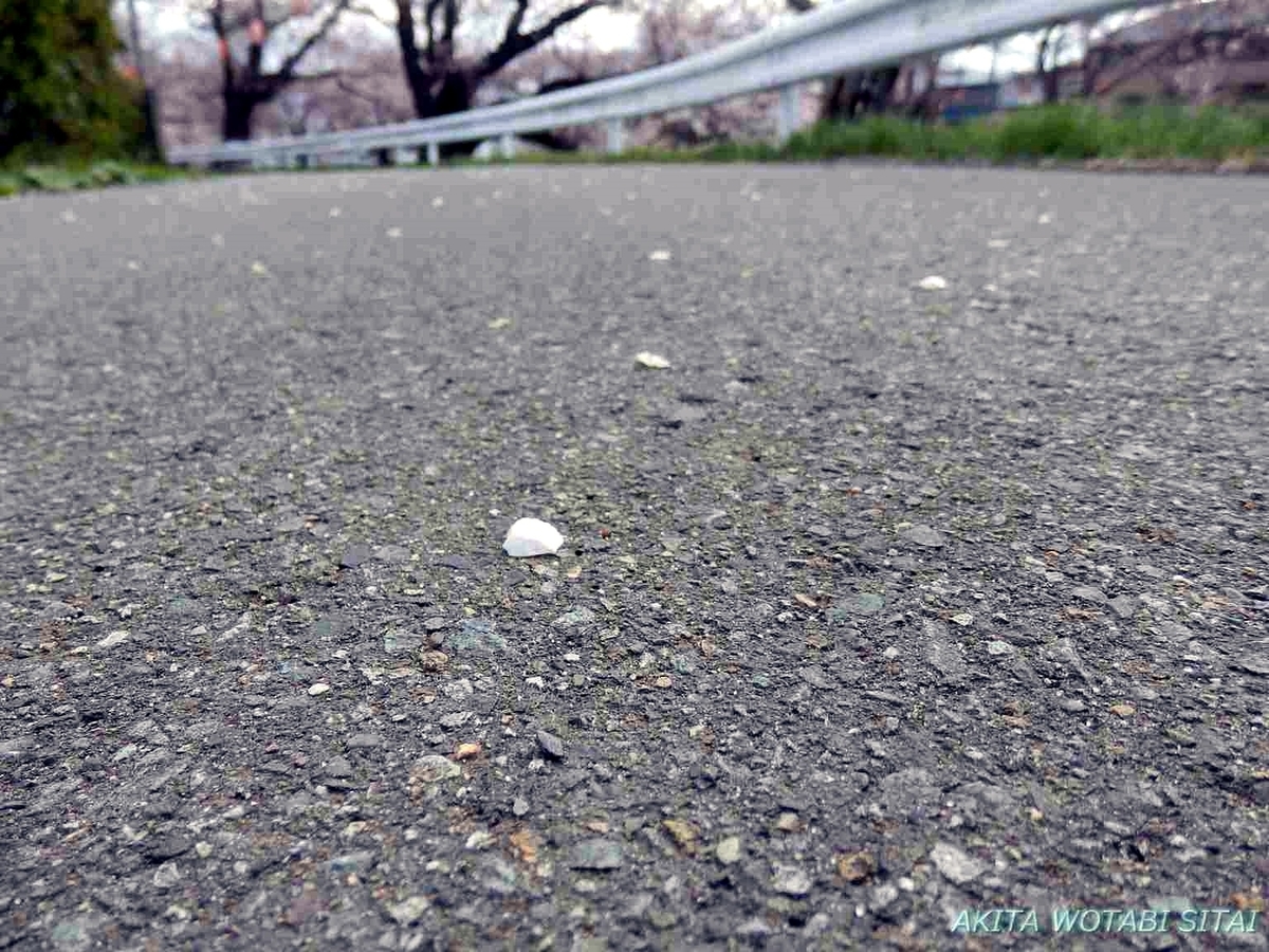 f:id:murabitosonoiti:20190421001615j:plain f:id:murabitosonoiti:20190421001615j:plain