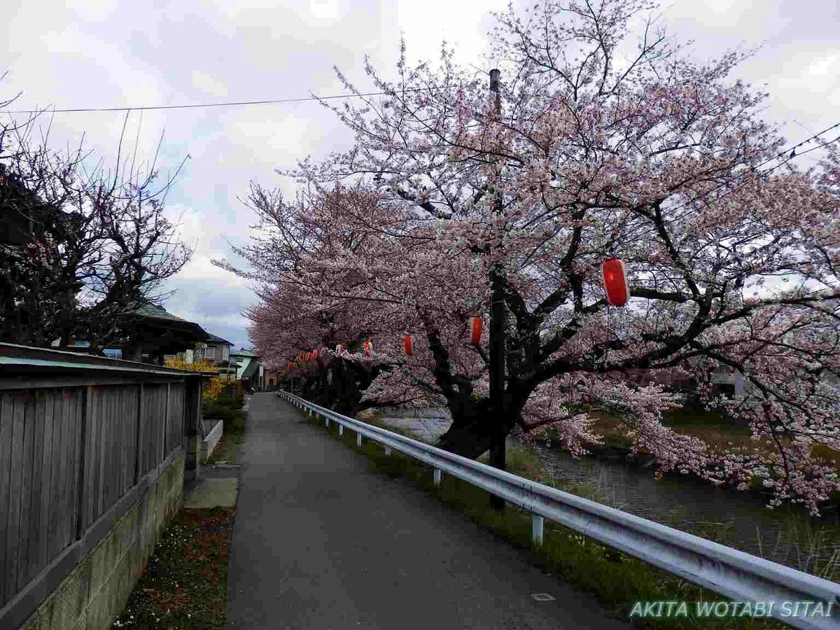 f:id:murabitosonoiti:20190421001701j:plain f:id:murabitosonoiti:20190421001701j:plain