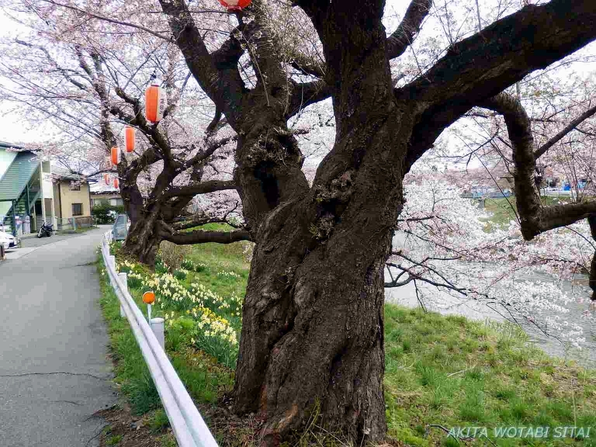 f:id:murabitosonoiti:20190421001808j:plain f:id:murabitosonoiti:20190421001808j:plain