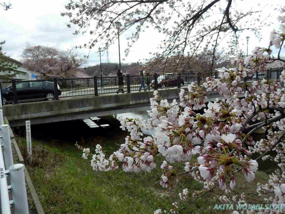 f:id:murabitosonoiti:20190421002057j:plain f:id:murabitosonoiti:20190421002057j:plain