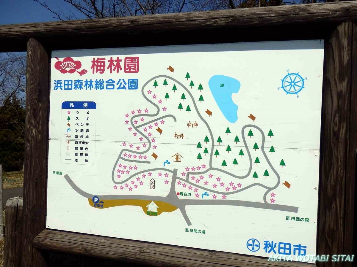 f:id:murabitosonoiti:20190425103935j:plain f:id:murabitosonoiti:20190425103935j:plain