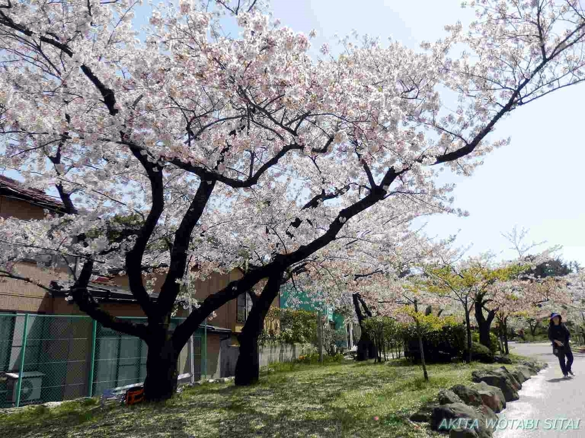 f:id:murabitosonoiti:20190425155741j:plain