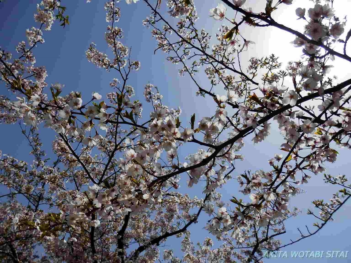 f:id:murabitosonoiti:20190425161101j:plain