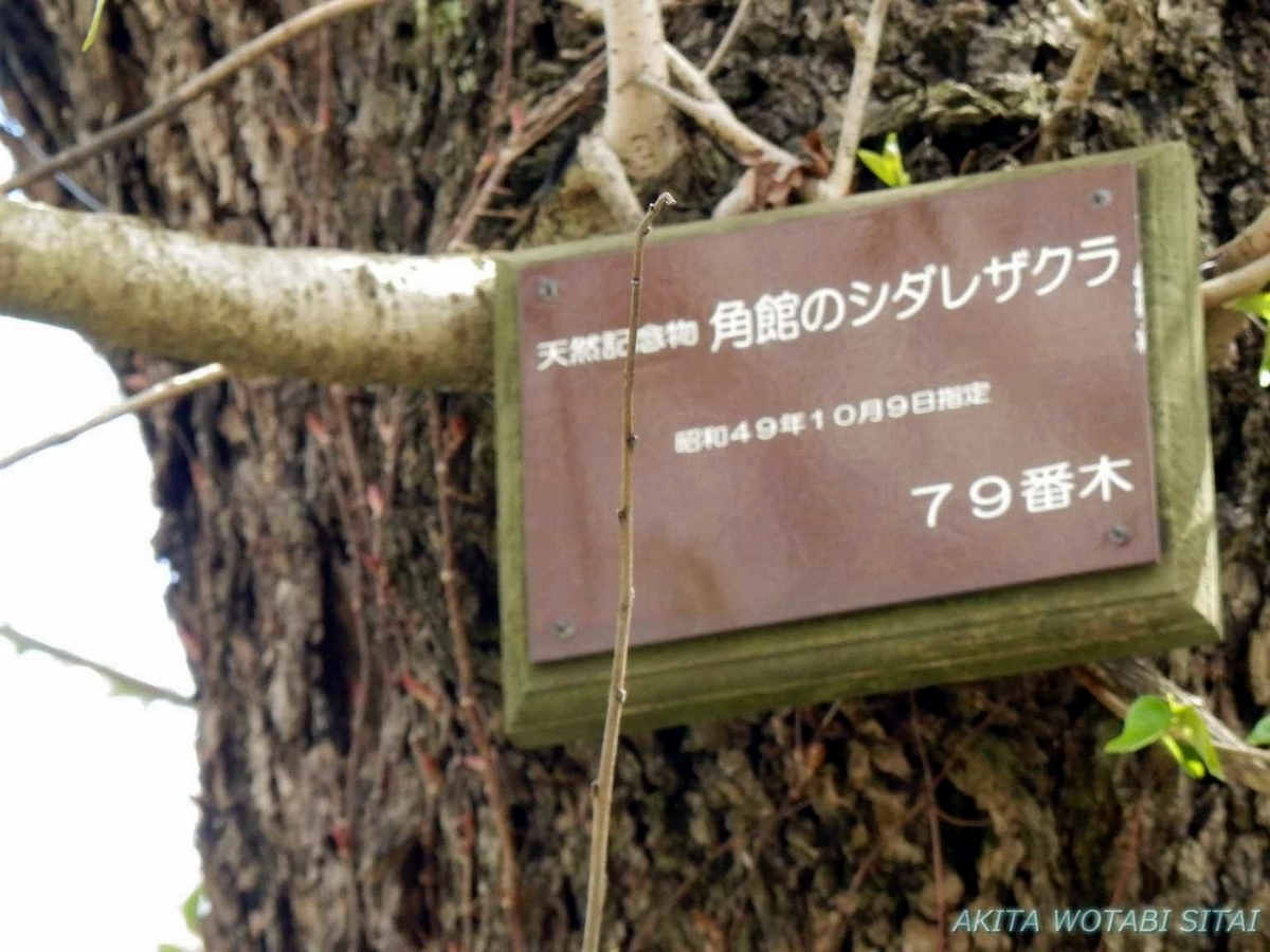 f:id:murabitosonoiti:20190430095648j:plain f:id:murabitosonoiti:20190430095648j:plain