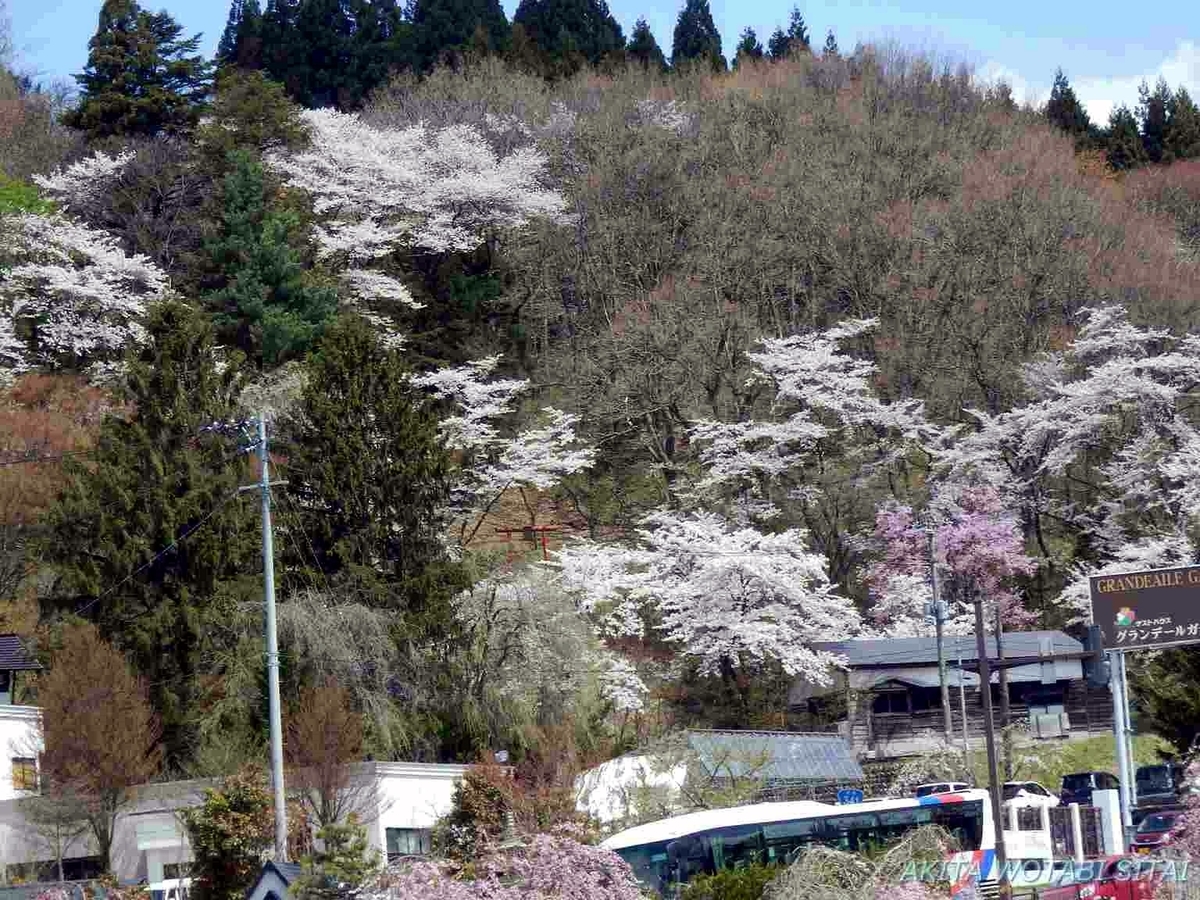 f:id:murabitosonoiti:20190430100025j:plain f:id:murabitosonoiti:20190430100025j:plain