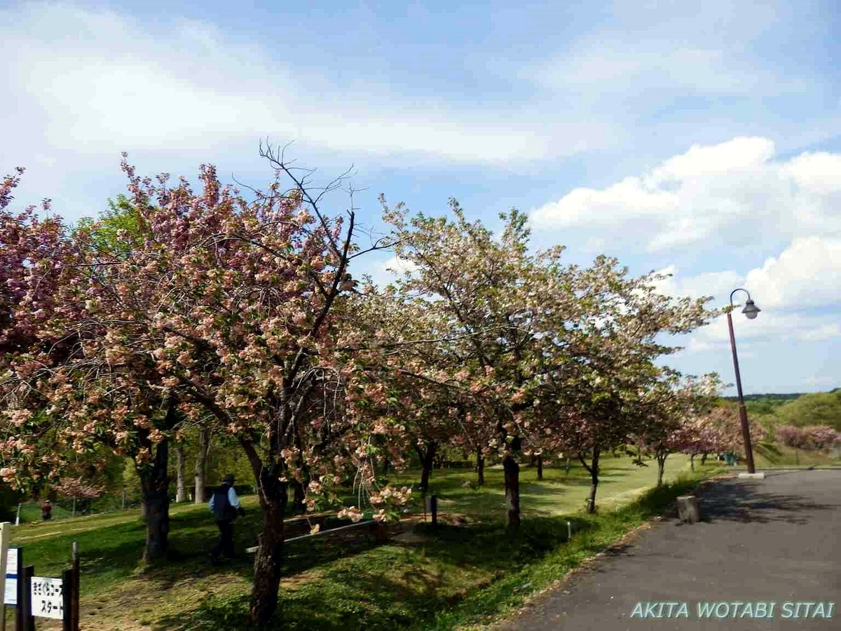 f:id:murabitosonoiti:20190517153558j:plain f:id:murabitosonoiti:20190517153558j:plain