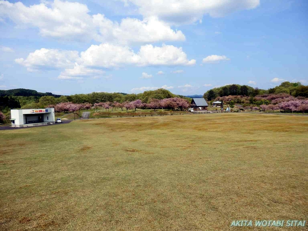 f:id:murabitosonoiti:20190517154759j:plain f:id:murabitosonoiti:20190517154759j:plain