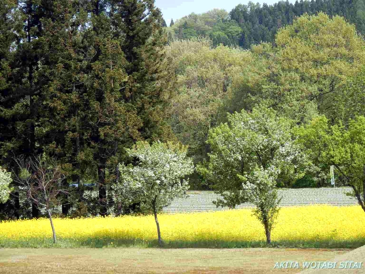 f:id:murabitosonoiti:20190517155301j:plain f:id:murabitosonoiti:20190517155301j:plain