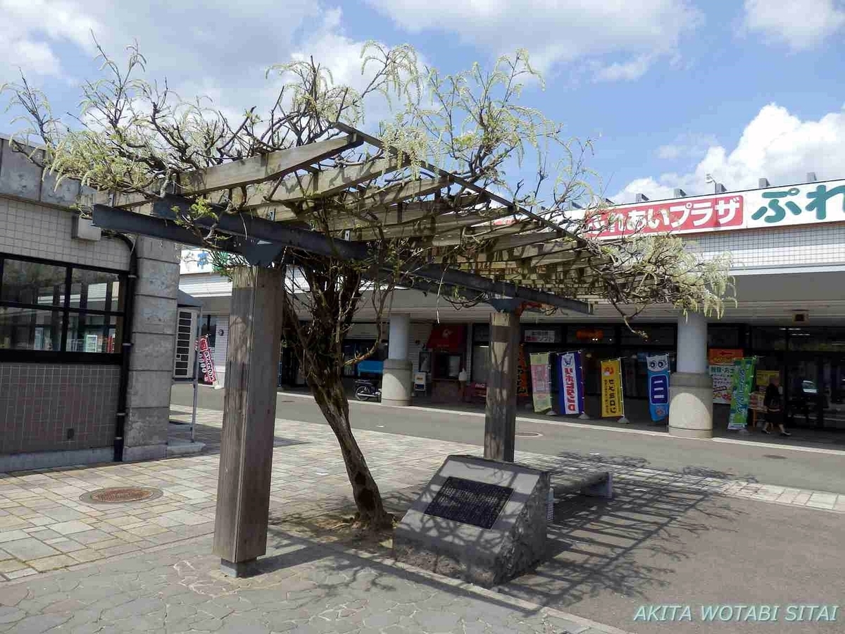 f:id:murabitosonoiti:20190517161331j:plain f:id:murabitosonoiti:20190517161331j:plain