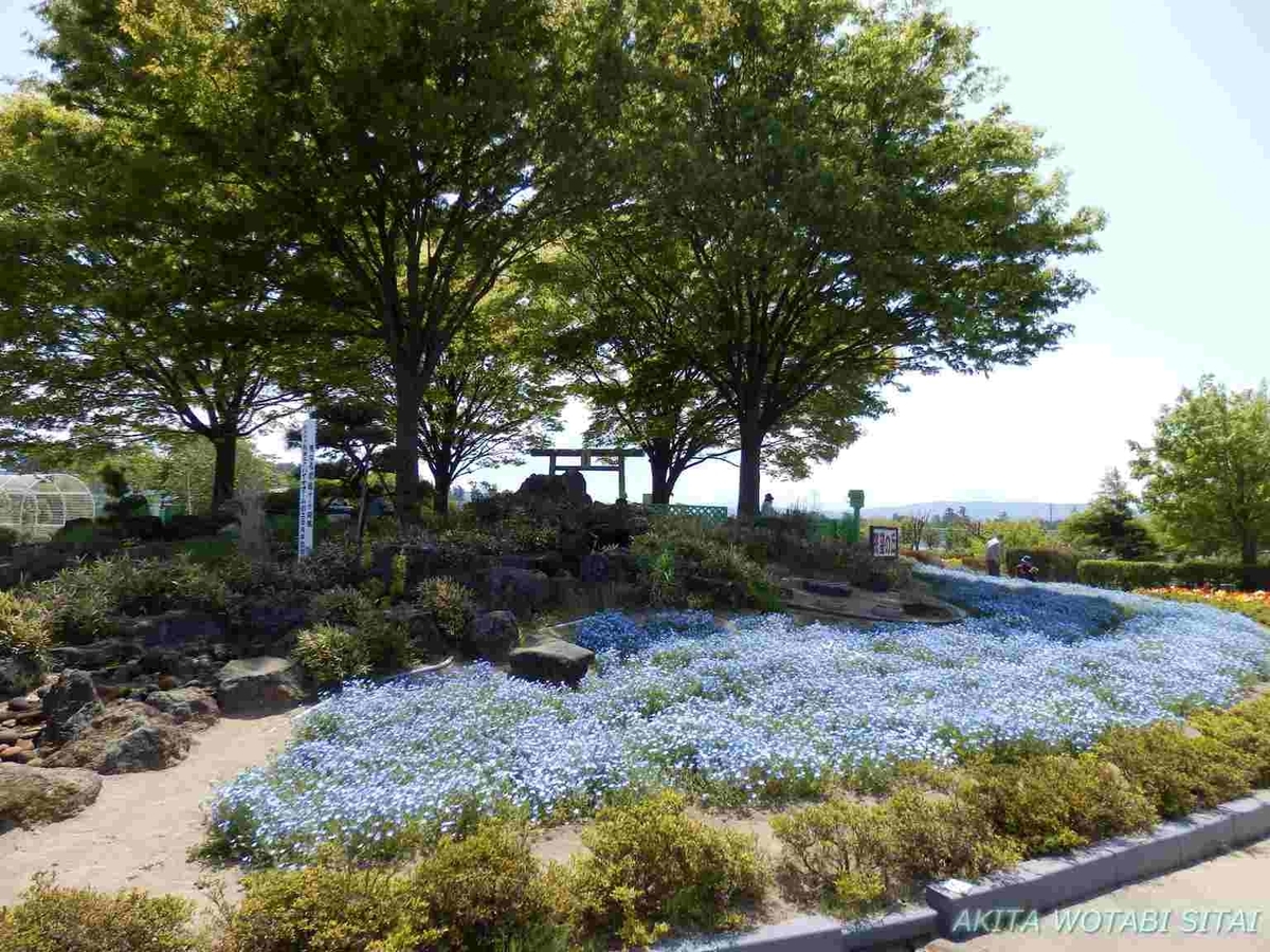 f:id:murabitosonoiti:20190518095803j:plain f:id:murabitosonoiti:20190518095803j:plain