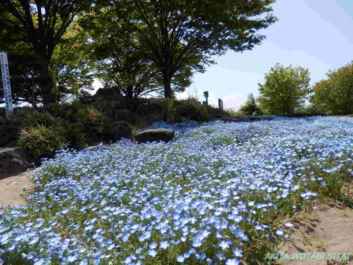 f:id:murabitosonoiti:20190518095947j:plain f:id:murabitosonoiti:20190518095947j:plain
