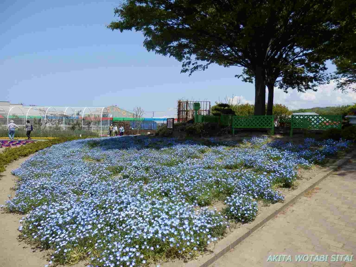 f:id:murabitosonoiti:20190518100122j:plain f:id:murabitosonoiti:20190518100122j:plain