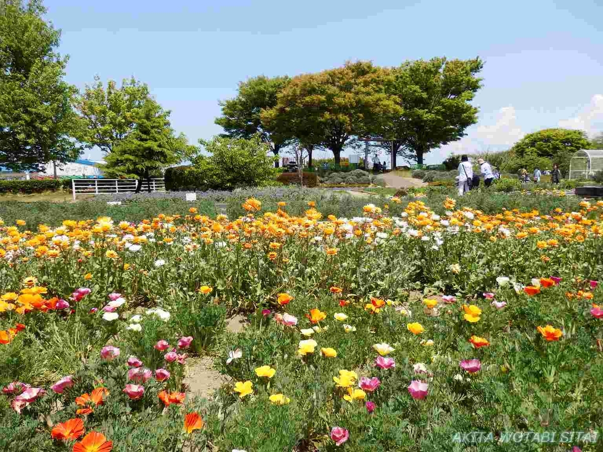 f:id:murabitosonoiti:20190518122814j:plain f:id:murabitosonoiti:20190518122814j:plain