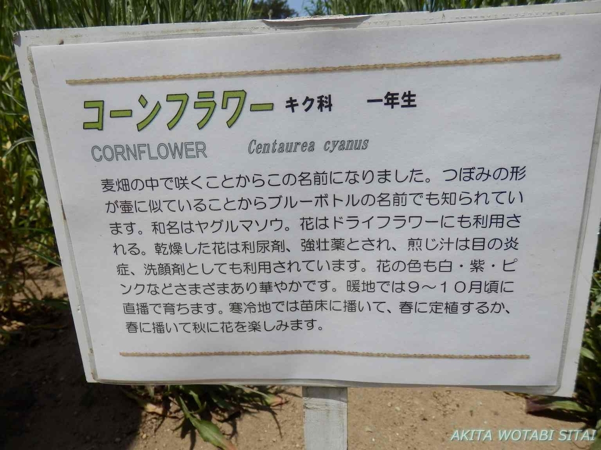 f:id:murabitosonoiti:20190518123500j:plain f:id:murabitosonoiti:20190518123500j:plain