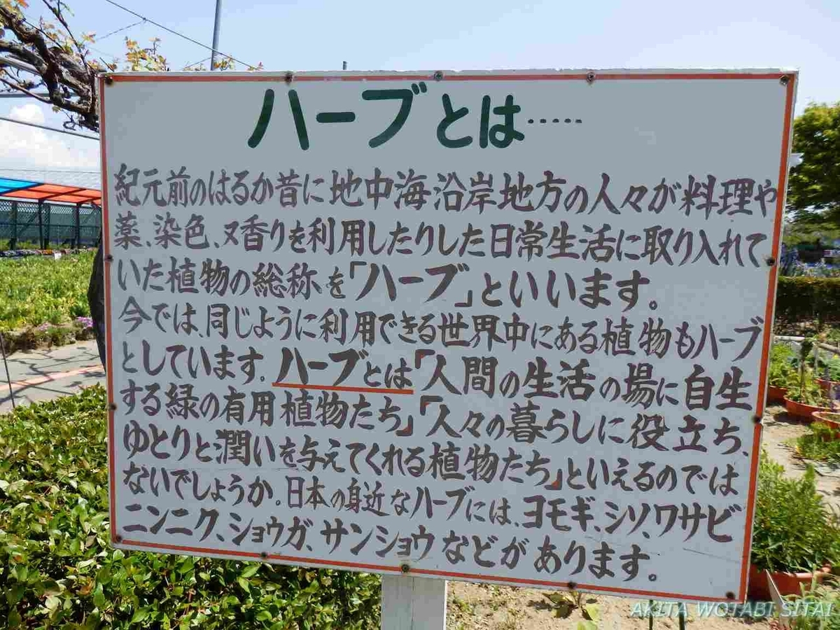 f:id:murabitosonoiti:20190522105602j:plain f:id:murabitosonoiti:20190522105602j:plain