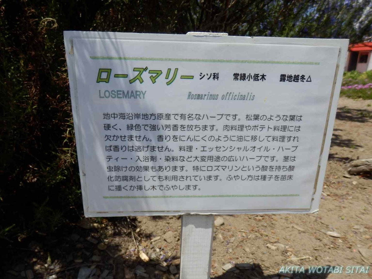 f:id:murabitosonoiti:20190522110149j:plain f:id:murabitosonoiti:20190522110149j:plain
