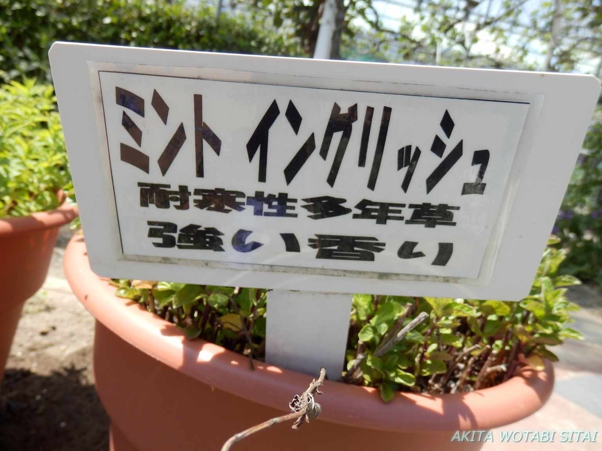 f:id:murabitosonoiti:20190522110717j:plain f:id:murabitosonoiti:20190522110717j:plain