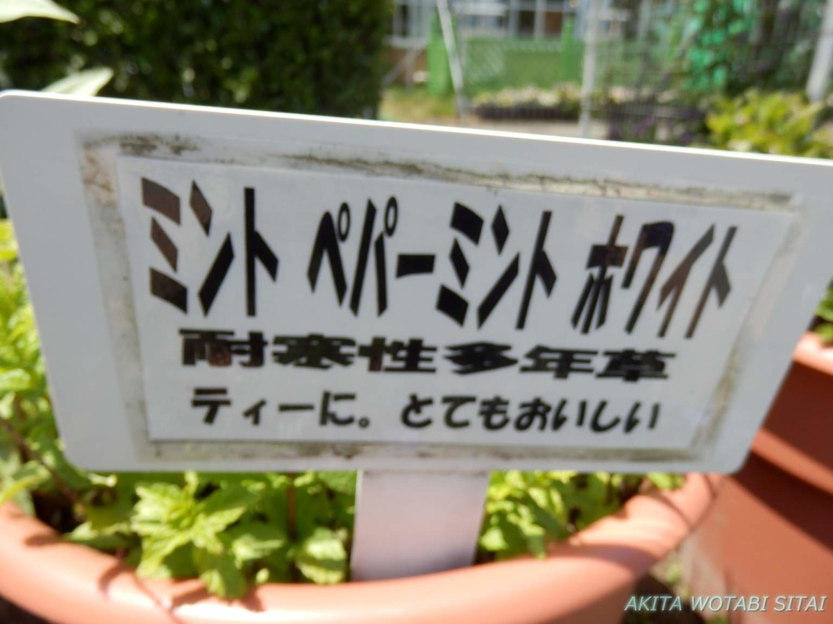 f:id:murabitosonoiti:20190522110801j:plain f:id:murabitosonoiti:20190522110801j:plain