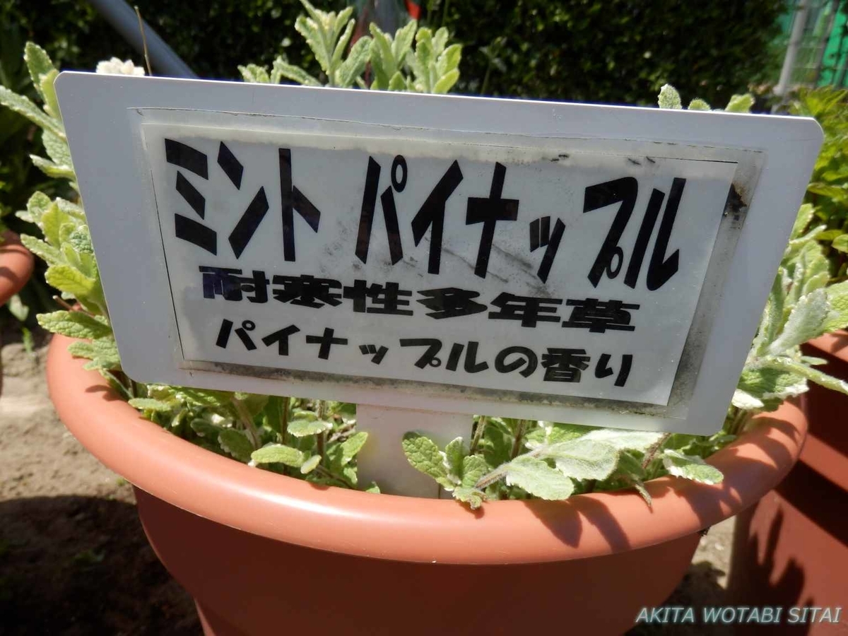 f:id:murabitosonoiti:20190522111012j:plain f:id:murabitosonoiti:20190522111012j:plain