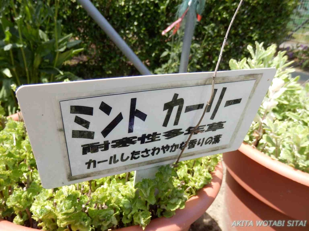 f:id:murabitosonoiti:20190522111155j:plain f:id:murabitosonoiti:20190522111155j:plain