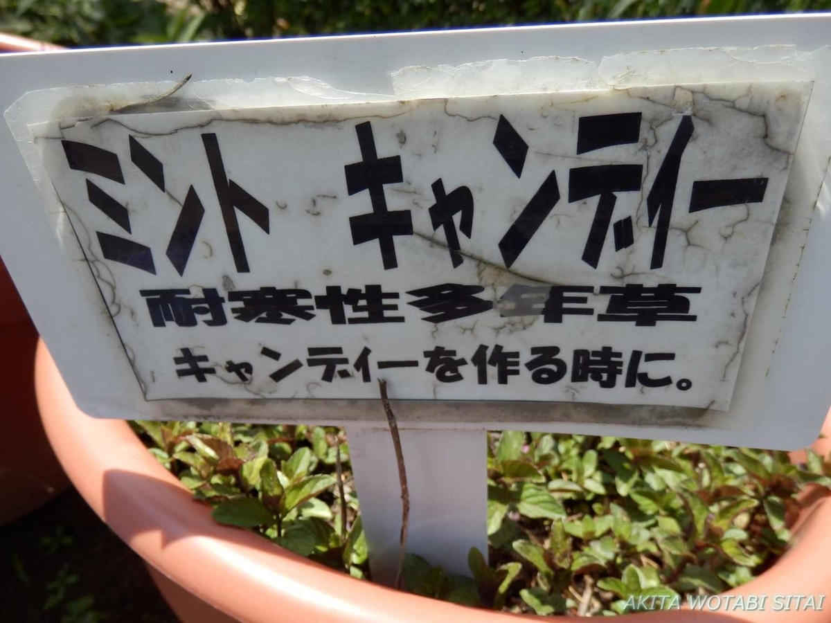 f:id:murabitosonoiti:20190522111244j:plain f:id:murabitosonoiti:20190522111244j:plain
