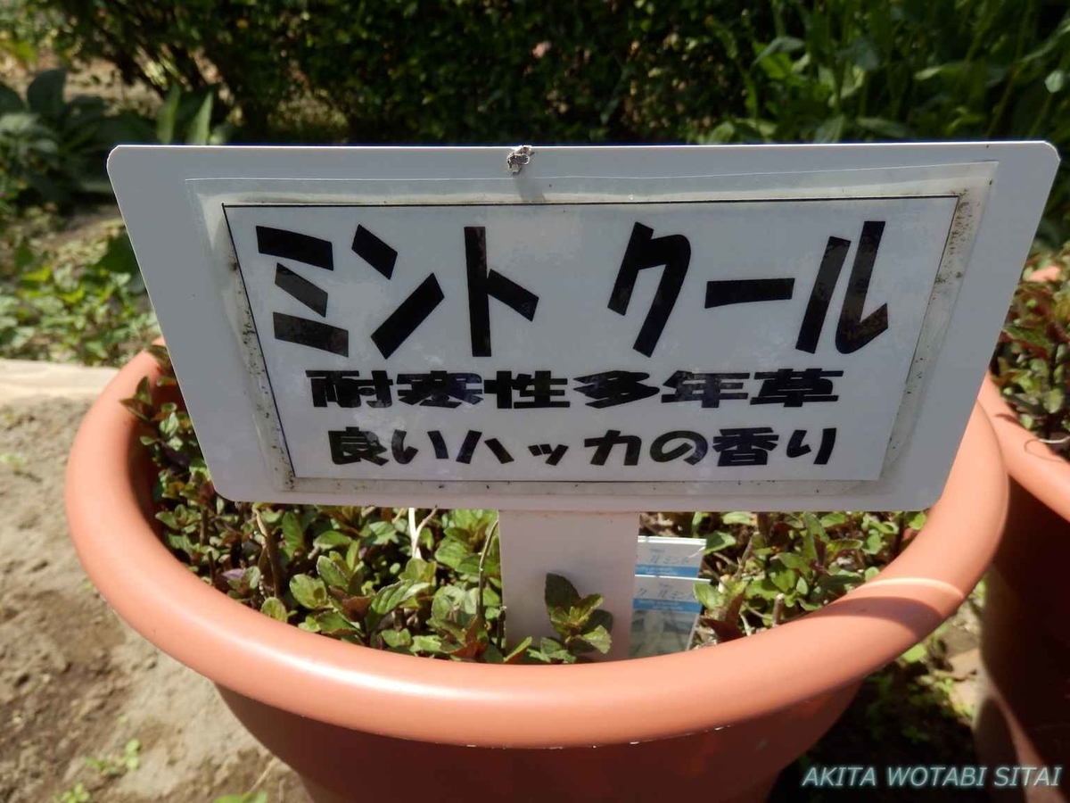 f:id:murabitosonoiti:20190522111350j:plain f:id:murabitosonoiti:20190522111350j:plain