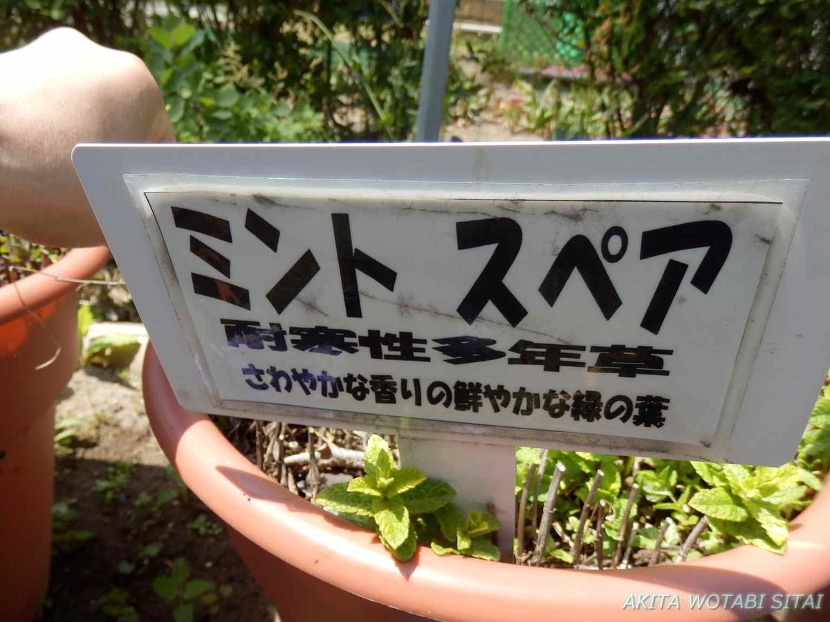 f:id:murabitosonoiti:20190522111507j:plain f:id:murabitosonoiti:20190522111507j:plain