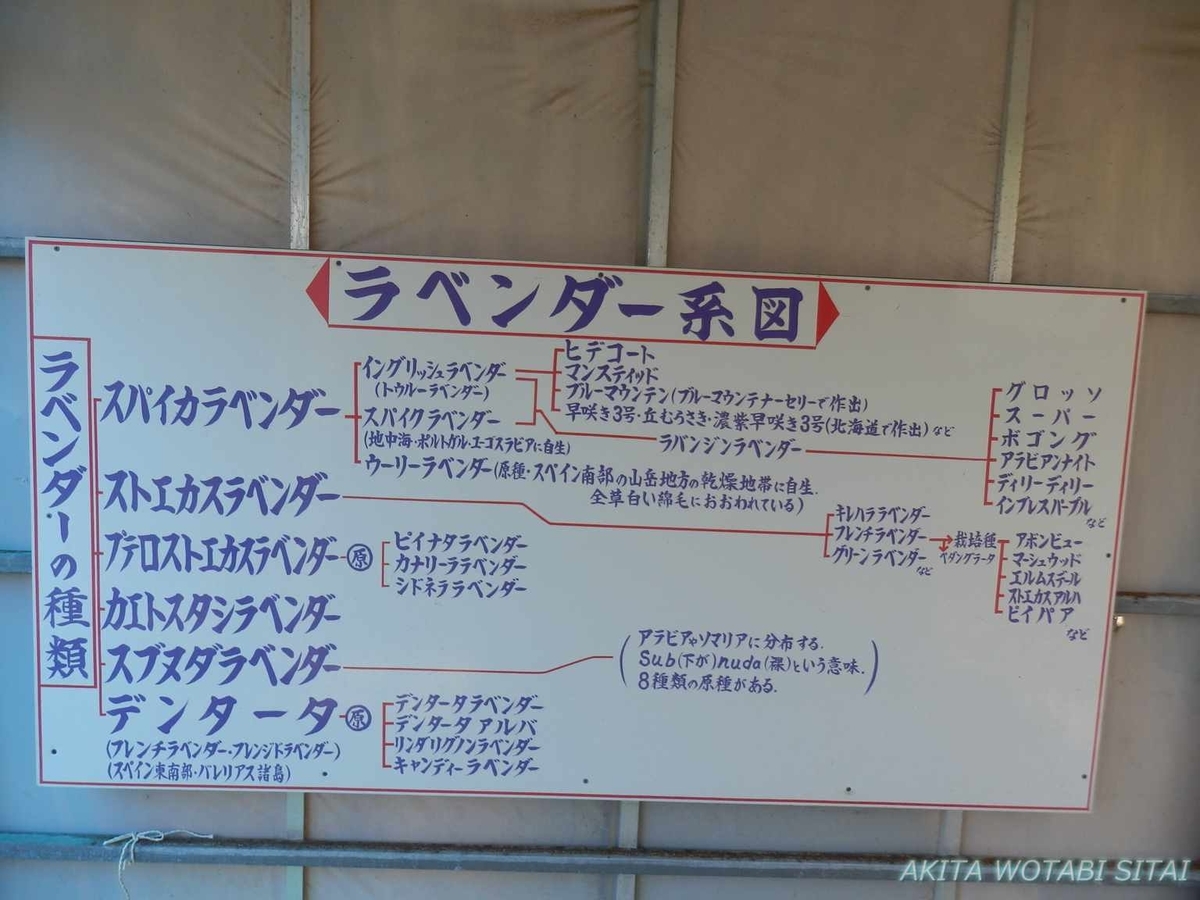 f:id:murabitosonoiti:20190522113528j:plain f:id:murabitosonoiti:20190522113528j:plain