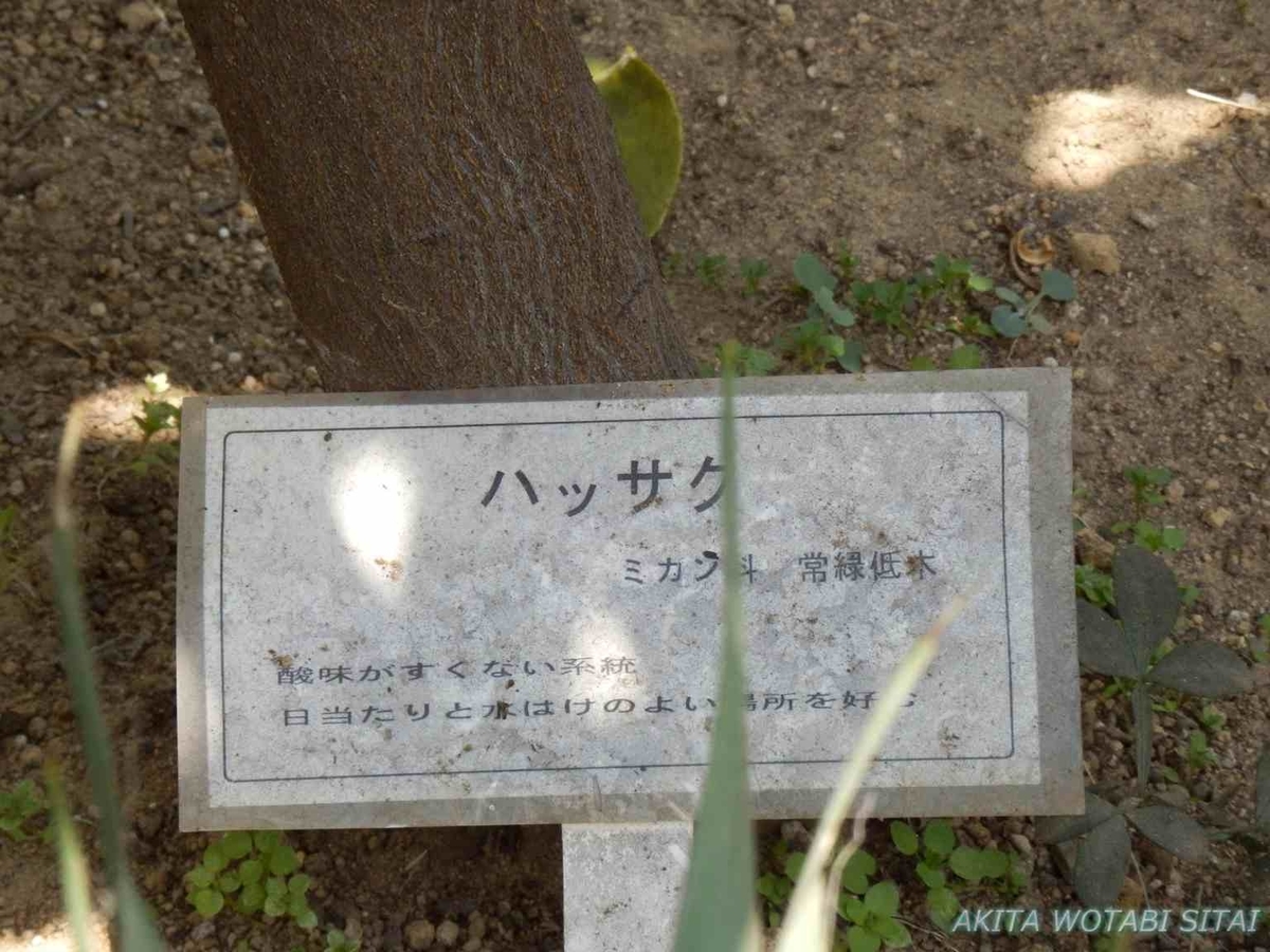 f:id:murabitosonoiti:20190522113927j:plain f:id:murabitosonoiti:20190522113927j:plain