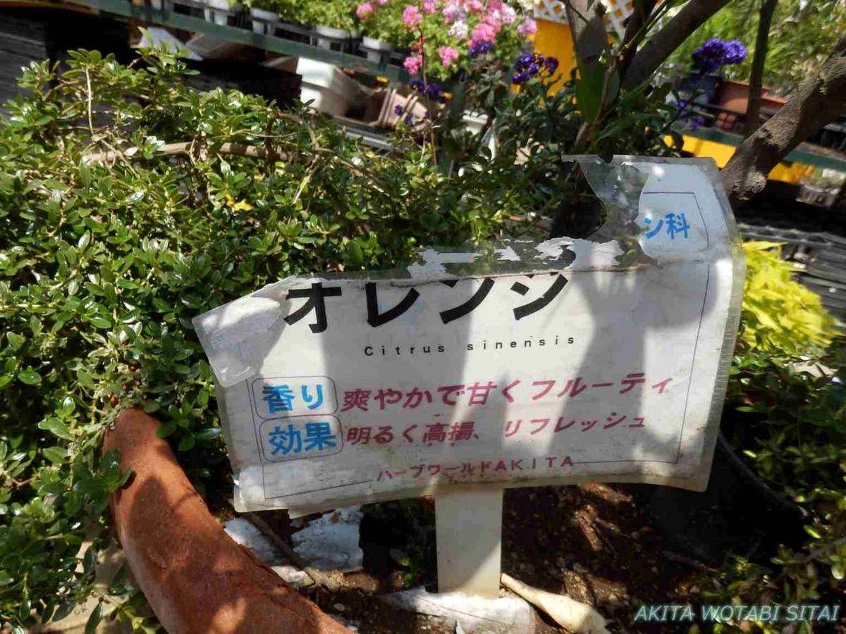 f:id:murabitosonoiti:20190522114131j:plain f:id:murabitosonoiti:20190522114131j:plain