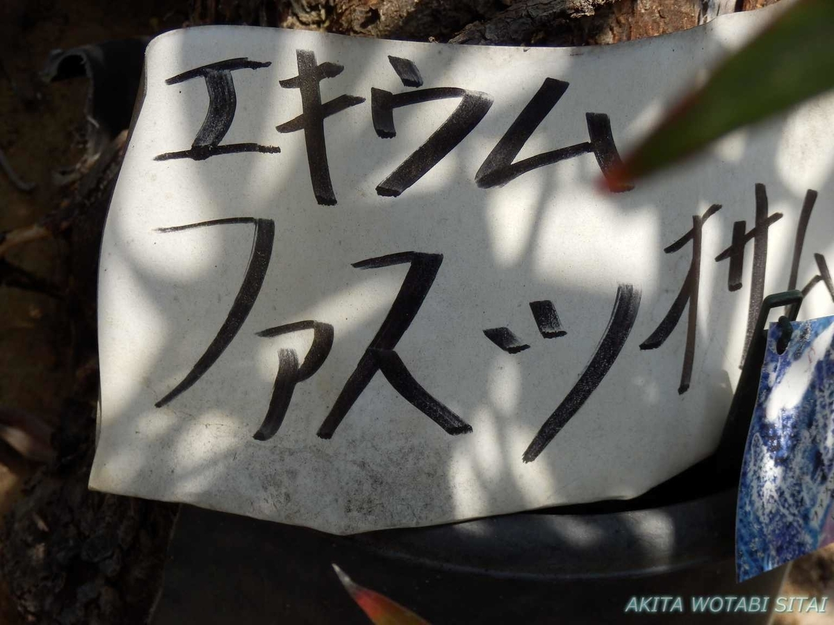 f:id:murabitosonoiti:20190522114501j:plain f:id:murabitosonoiti:20190522114501j:plain