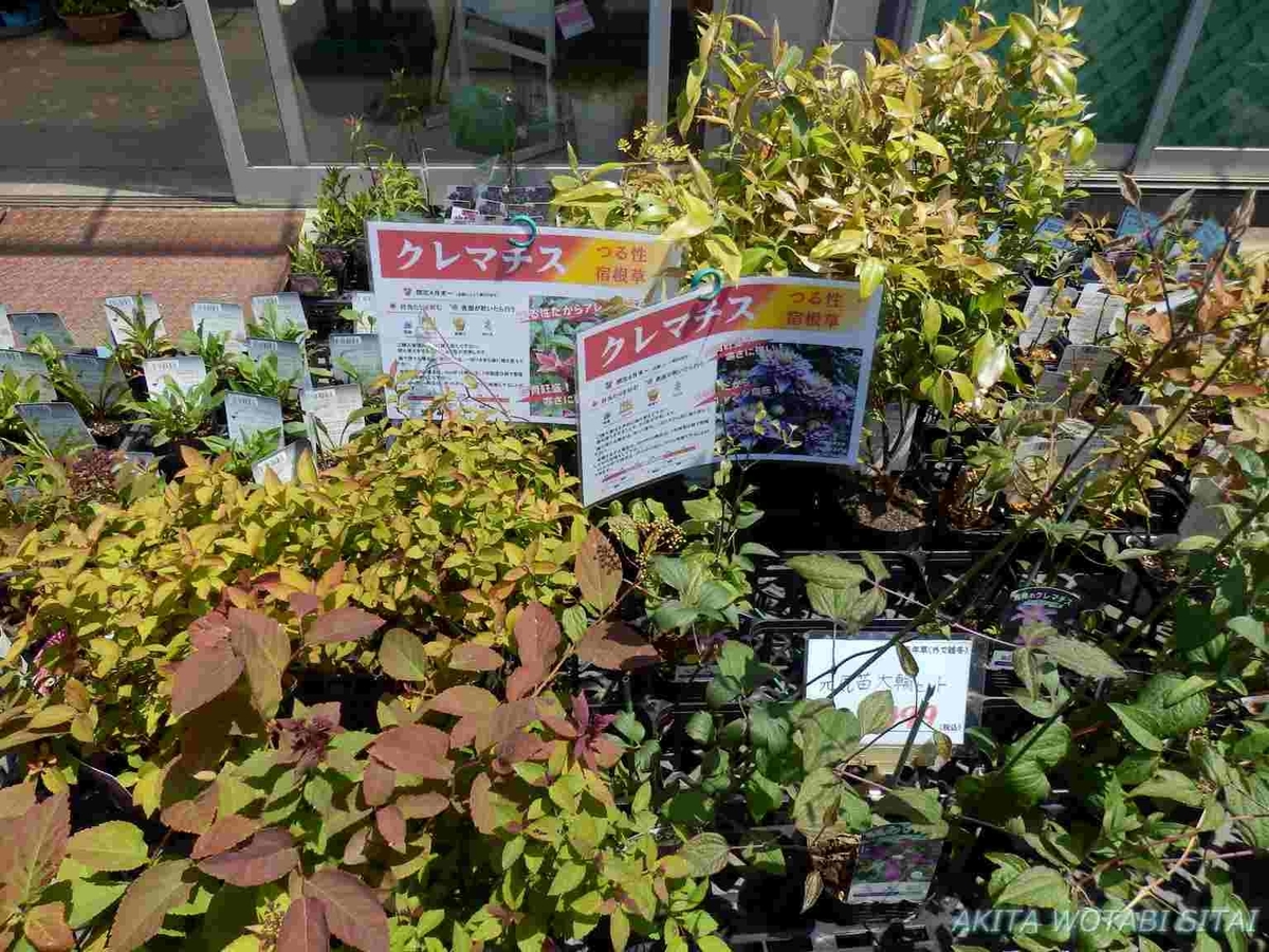 f:id:murabitosonoiti:20190523225456j:plain