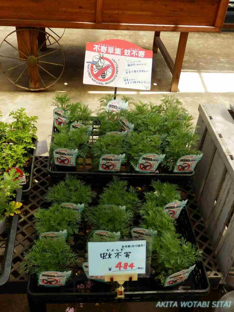 f:id:murabitosonoiti:20190523225819j:plain