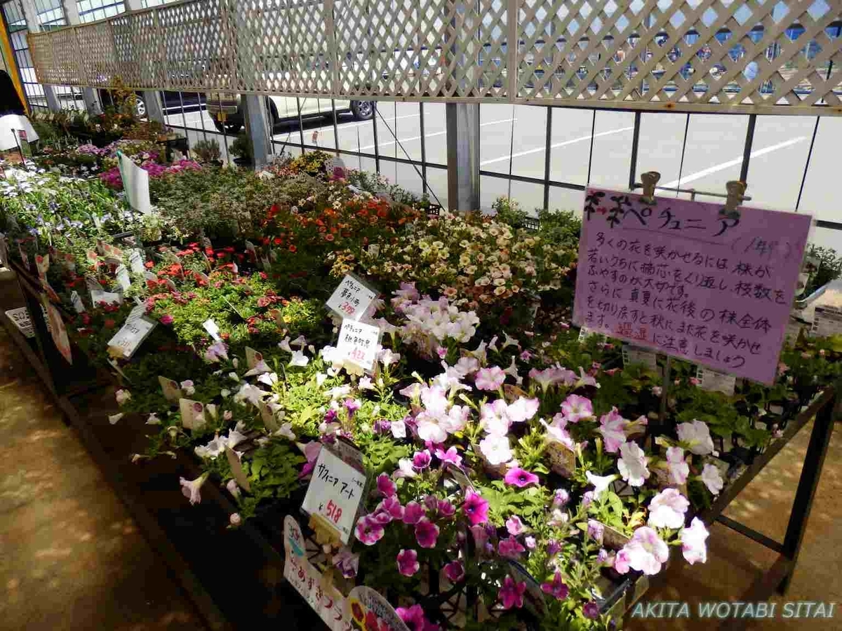 f:id:murabitosonoiti:20190523231117j:plain