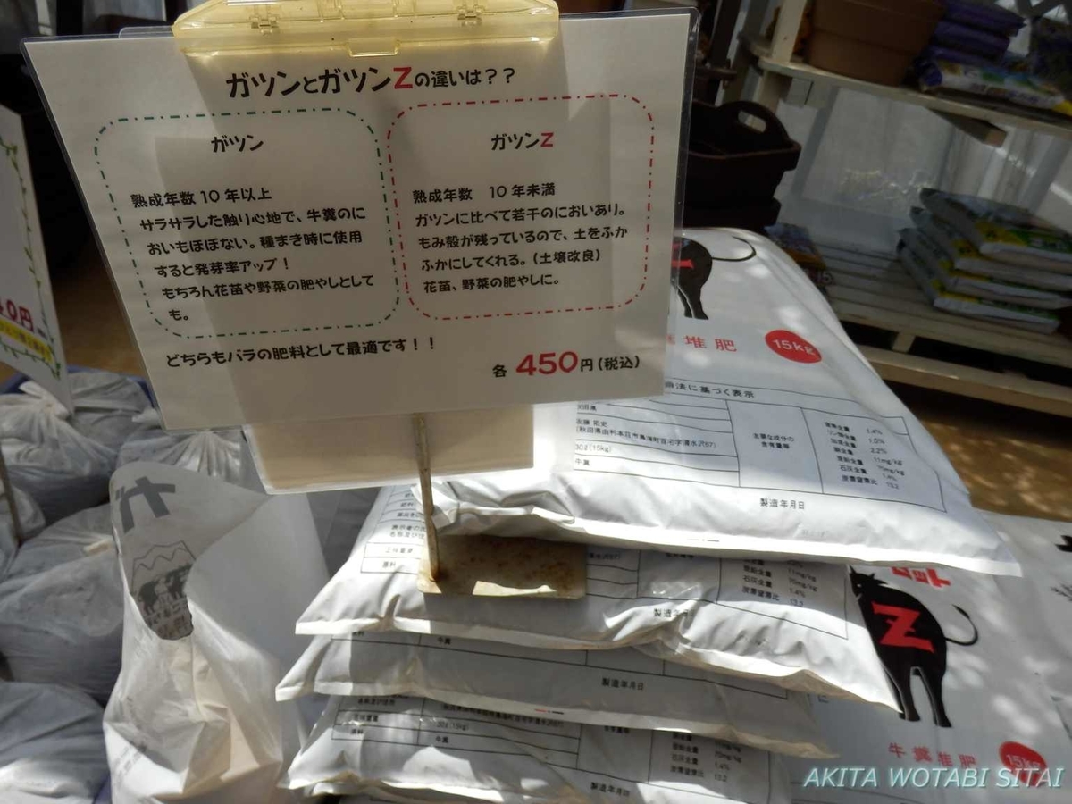 f:id:murabitosonoiti:20190523231252j:plain