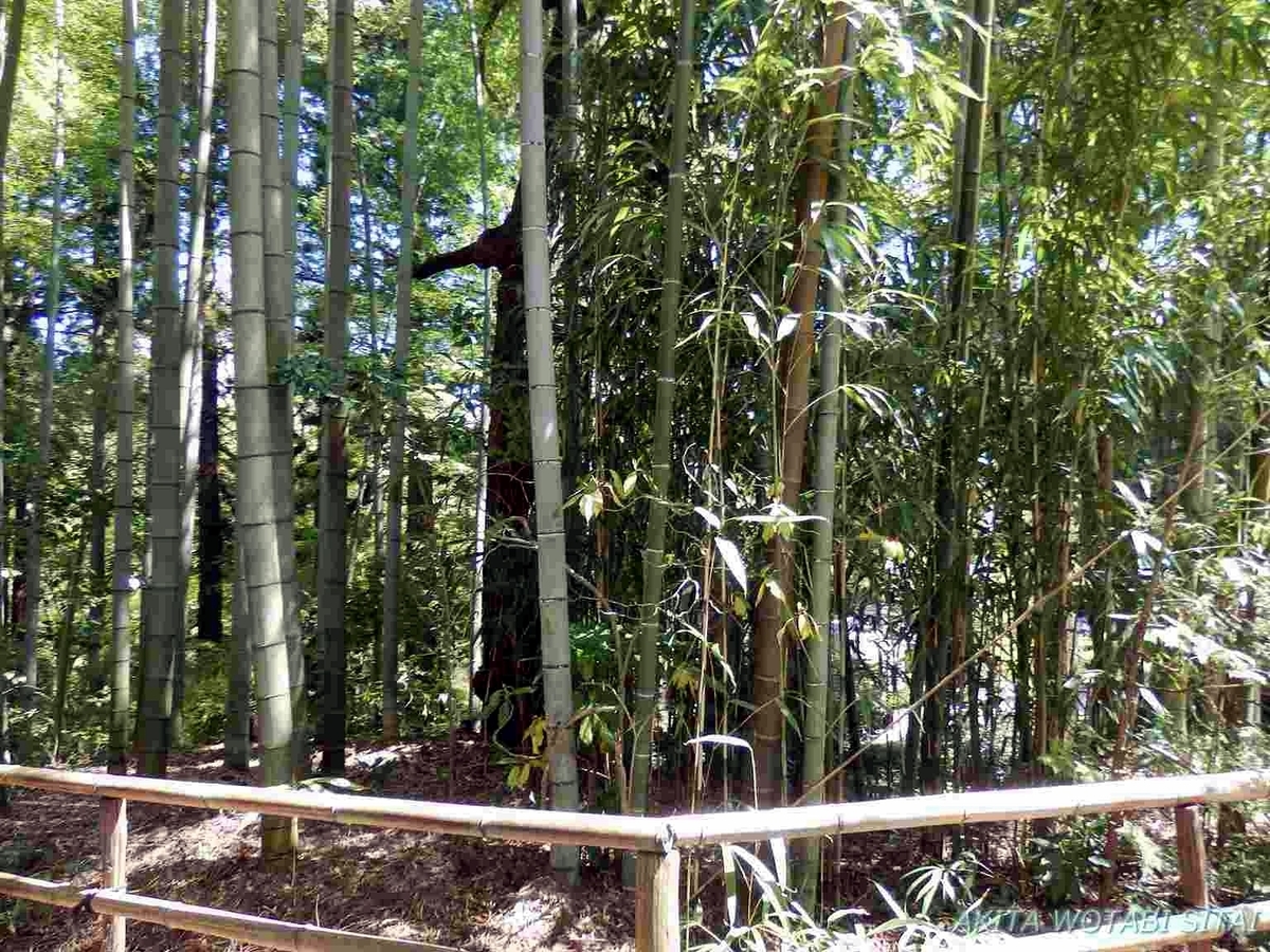 f:id:murabitosonoiti:20190607112438j:plain f:id:murabitosonoiti:20190607112438j:plain