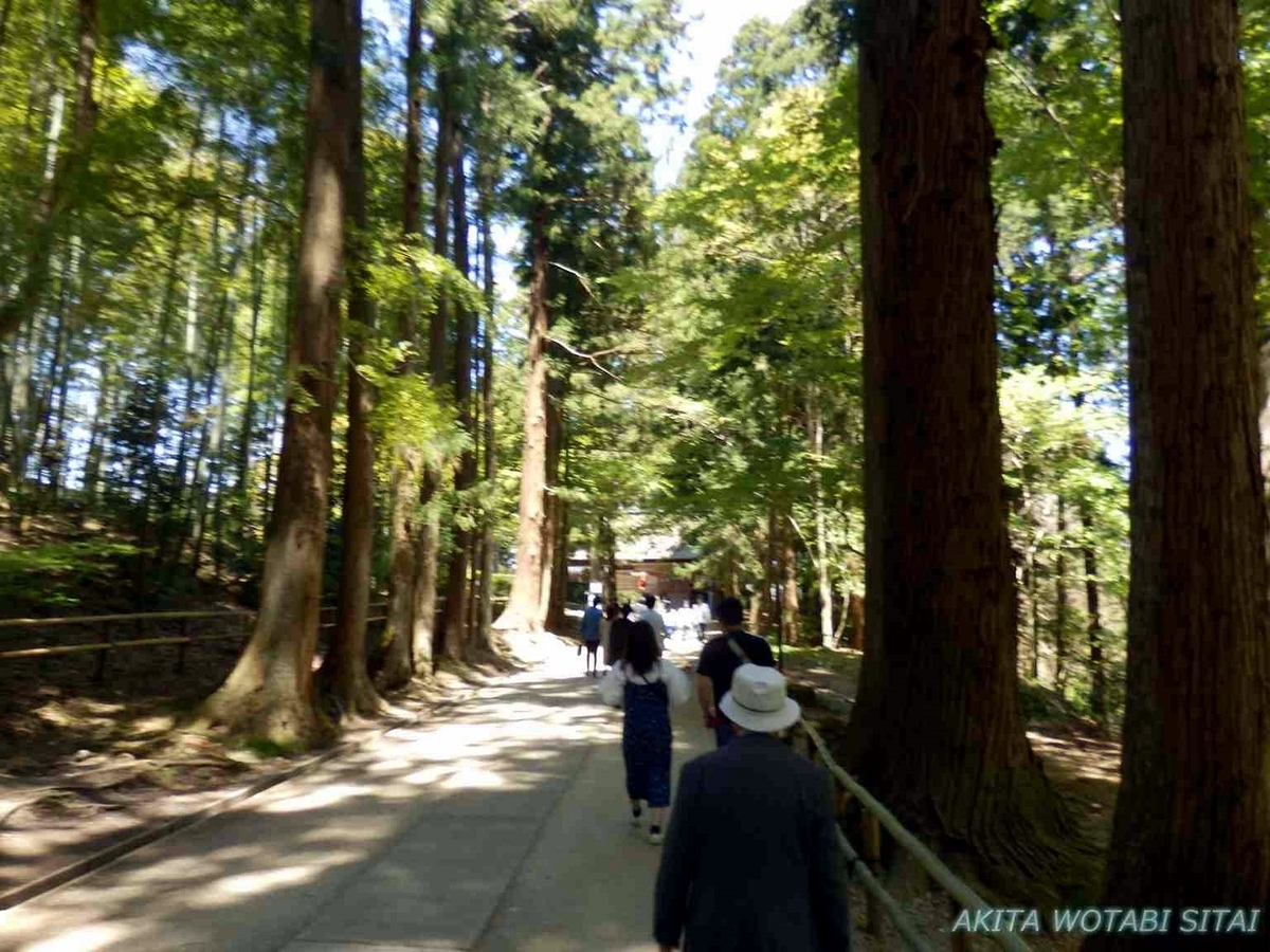 f:id:murabitosonoiti:20190607160730j:plain